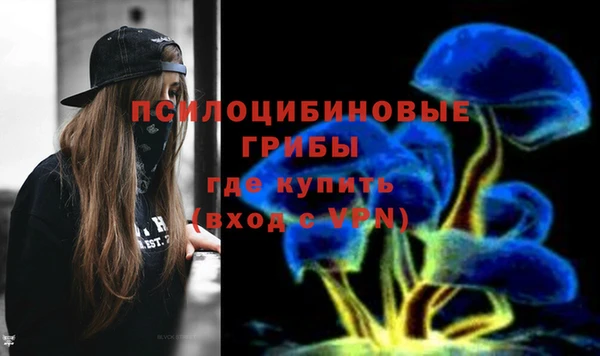 круглые Алексеевка