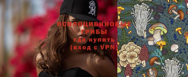 круглые Алексеевка